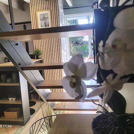 Au Bord Du Vieux Moulin - Pres De Bordeaux Apartment