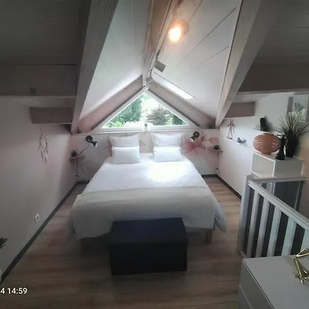 Apartament Au Bord Du Vieux Moulin - Pres De Bordeaux *