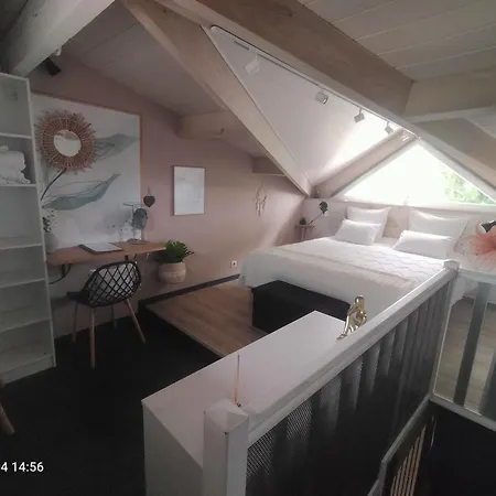 Au Bord Du Vieux Moulin - Pres De Bordeaux 公寓 *